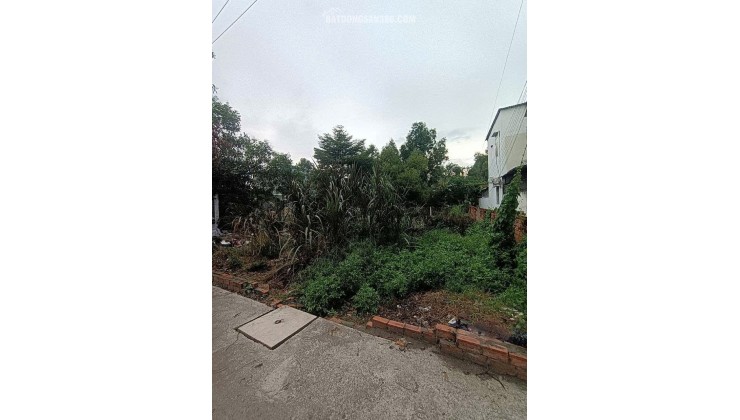 Đất Vuông SHR HXH 300m2 – Tân Hiệp 4 Hóc Môn SS